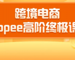 2020跨境电商蓝海新机会-SHOPEE大卖特训营：高阶终极课程（16节课）