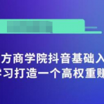 抖音基础入门班：小白0基础学习打造一个高权重赚钱的抖音号