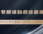 垂直起号精准自然流量连爆玩法，精准引流暴力变现月入10000+