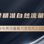 垂直起号精准自然流量连爆玩法，精准引流暴力变现月入10000+