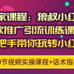 狼叔小红书爆款推广引流训练课6.0，手把手带你玩转小红书