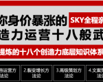 让你的身价暴涨的创造力运营十八般武艺 高度提炼的18个创造力底层知识体系