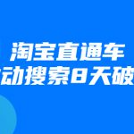 进阶战速课：淘宝直通车拉动搜索8天破千