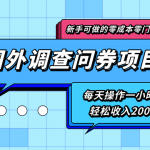 新手零成本零门槛可操作的国外调查问券项目，每天一小时轻松收入200+