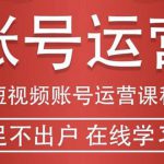 短视频账号运营课程：从话术到短视频运营再到直播带货全流程，新人快速入门