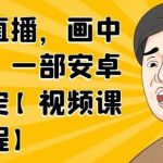 无绿布直播，画中画直播，一部安卓手机搞定