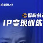 群响刘老板·IP变现训练营第6期：教你搞流量新姿势，IP打造获客私域经营