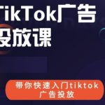 跨境B哥tiktok广告投放课，带你快速入门tiktok广告投放价值1680元