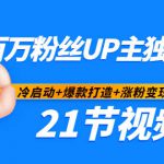 百万粉丝UP主独家秘诀：冷启动+爆款打造+涨粉变现2个月12W粉（21节视频课)