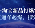 凌童·淘宝新品打爆实战班，直通车起爆、搜索起爆