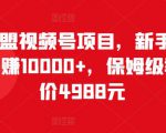 猎人联盟视频号项目，新手0基础轻松月赚10000+，保姆级教程原价4988元