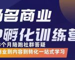 杨名商业IP孵化训练营，从商业到内容到转化一站式学 价值5980元