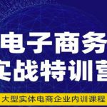 民赛电气内部出品：电子商务实战特训营，全方位带你入门电商，308种方式玩转电商