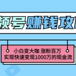 玩转微信视频号赚钱：小白变大咖涨粉百万实现快速变现1000万的现金流