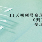 11天视频号变现训练营，从0到1打造变现赚钱系统（价值398元）