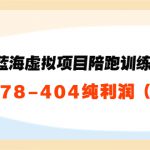 淘宝蓝海虚拟项目陪跑训练营5.0：单天478纯利润