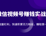 微信视频号赚钱实战：抓住流量红利，快速积累百万粉丝，赚取你的第一桶金