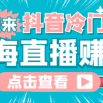 最新抖音冷门简单的蓝海直播赚钱玩法，流量大知道的人少，可做到全无人直播