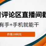 抖音评论区直播间截流，有手+手机就能干，门槛极低，模式可大量复制（价值1888元）