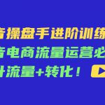 抖音操盘手进阶训练课：抖音电商流量运营必学，提升流量+转化