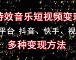 黄岛主《粒子特效音乐短视频变现项目》主攻平台抖音、快手、视频号多种变现方法