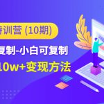 小红书特训营（第10期）低门槛-可复制-小白可复制-独家月入10w+变现方法