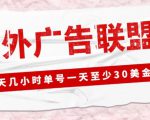 外面收费1980的最新国外LEAD广告联盟搬砖项目，单号一天至少30美金【详细玩法教程】