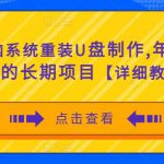 电脑系统重装U盘制作，年赚30W的长期项目【详细教程】