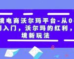 跨境电商沃尔玛平台-从0基础到入门，沃尔玛的红利，跨境新玩法