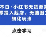 绅白不白·小红书无货源第五版，零投入起店，无脑图文精细化玩法