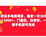 2023拼多多电商项目，稳定一天300～3000+，门槛低，出单快，一部手机即可完成