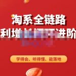 淘系全链路盈利增长闭环进阶营，融合全店动销，学得会、听得懂、能落地！