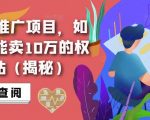 搜索霸屏推广项目，如何做一个能卖10万的权重6网站（揭秘）