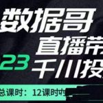 数据哥2023直播电商巨量千川付费投流实操课，快速掌握直播带货运营投放策略