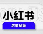 小红书店铺秘籍，最简单教学，最快速爆单，日入1000+