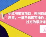 小红书带货项目，时间自由、零门槛无压货，一部手机即可操作，普通人月收过万的带货课