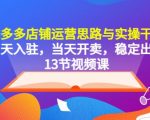 拼多多店铺运营思路与实操干货，当天入驻，当天开卖，稳定出单（13节课）