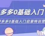 拼多多运营0-1实操特训营，拼多多0基础入门，从基础到进阶的可实操玩法