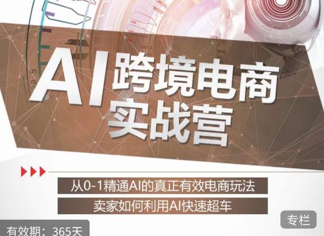 白龙老师·AI跨境电商实战营：从0-1精通Al的真正有效电商玩法，卖家如何利用Al快速超车