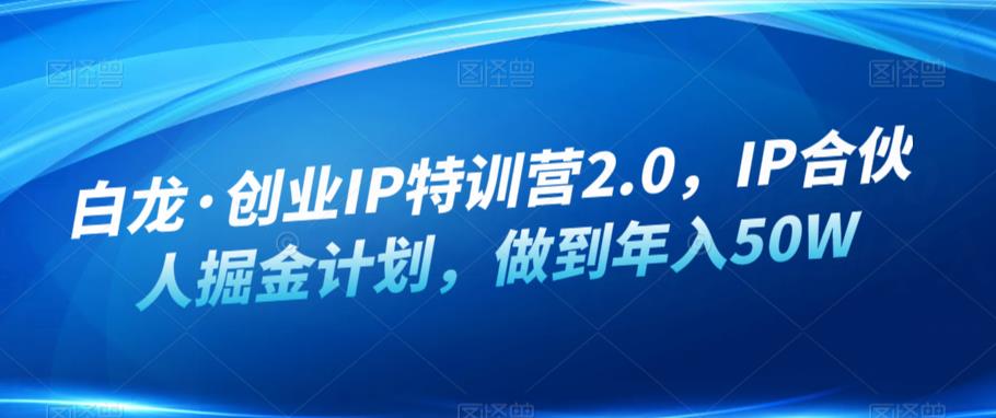 白龙·创业IP特训营2.0，IP合伙人掘金计划，做到年入50W