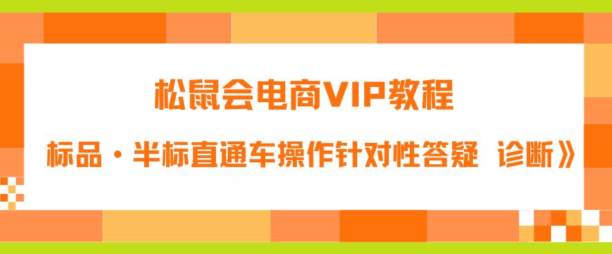 松鼠会电商VIP教程：松鼠《付费推广标品·半标直通车操作针对性答疑&#038;诊断》