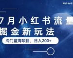 7月小红书流量掘金最新玩法，冷门蓝海小项目，日入200+【揭秘】