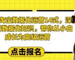 2023淘宝数据化运营14式，深度解析数据化知识，帮你从小白成长为高级运营