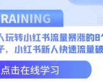 新人玩转小红书流量暴涨的8个野路子，小红书新人快速流量破局