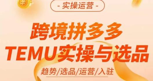 伍跃·跨境拼多多TEMU实操与选品，​趋势/选品/运营/入住（27节完整）