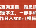 小红书蓝海项目，雅思词汇资料引流留学生，一部手机无脑操作日入300+【揭秘】