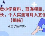 小红书卖小学资料，蓝海项目，红利期长，个人实测可月入五位【揭秘】