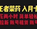 靠王者荣耀，月入十万，每天花两小时。多种变现，拉新、账号租赁，账号交易【揭秘】