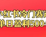 小红书冷门赛道，单日盈利500+【揭秘】