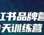 小红书品牌60天训练营第6期，GMV2亿级品牌老板都在学，教会你内容营销底层逻辑